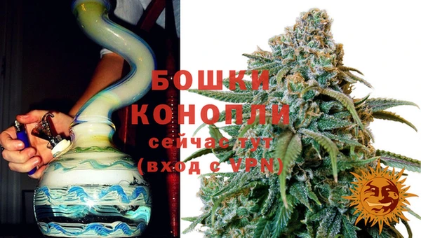 амф Новодвинск