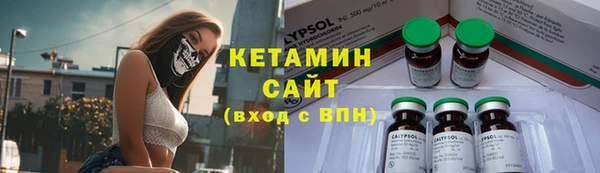 крисы Новокубанск