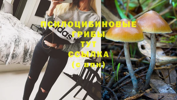 не бодяженный Новозыбков