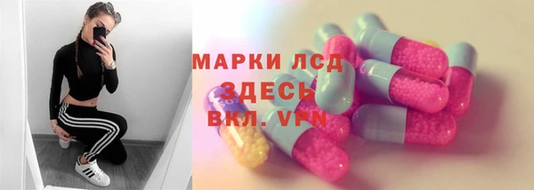 крисы Новокубанск