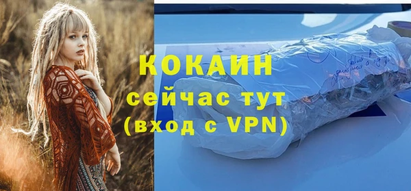 амф Новодвинск