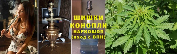 крисы Новокубанск