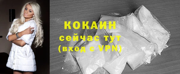 крисы Новокубанск