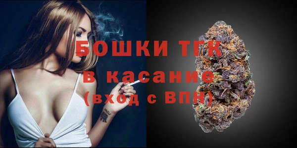 амф Новодвинск