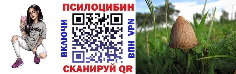 купить наркотики цена  Ардатов  Псилоцибиновые грибы прущие грибы 