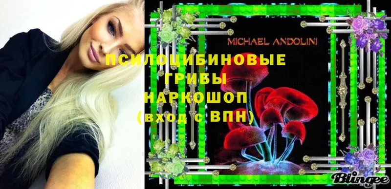 Галлюциногенные грибы Psilocybine cubensis  купить  сайты  Ардатов 